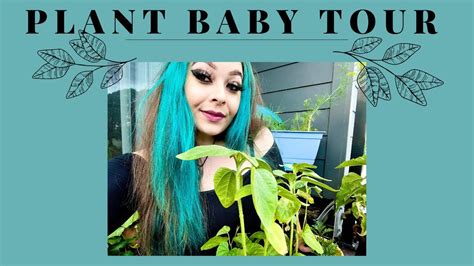 Plant.Bby Leaked 😈 [SEX VIDEO]