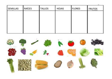 Plantas Que Comemos