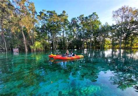 Plantation Adventure Center and Dive Shop in Crystal River - VISIT FLORIDA