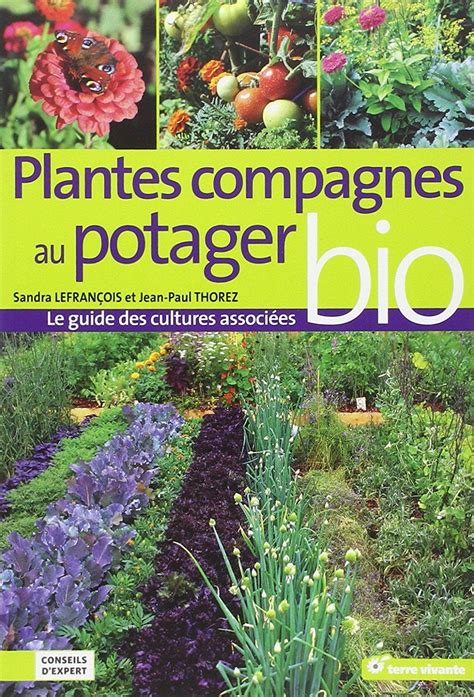 Plantes compagnes au potager bio le guide des cultures associees. - Manuale di blackwell sui processi intergruppi di psicologia sociale.