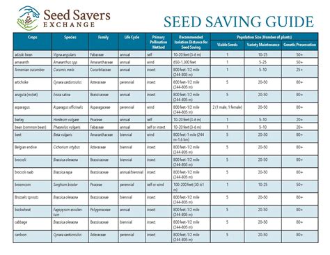 Planting Guide and Seed Saving Notes for Yarrow