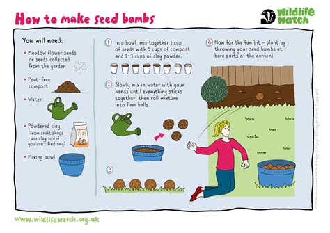 Planting Instructions Card. Seed Bomb Instructions. How To. Seed Bombs