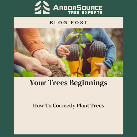 Planting Trees Correctly Home & Garden Information Center