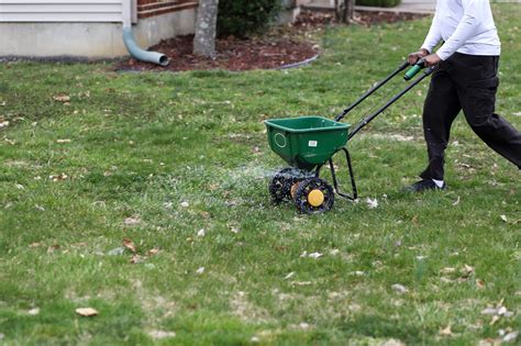Planting grass seed in fall. Seeding in fall is advantageous for the Midwest. To start germinating, grass seeds require soil temperatures above 50 degrees Fahrenheit, which usually doesn't … 