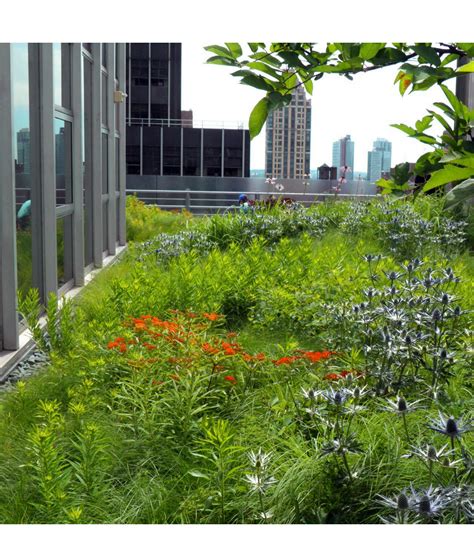Read Online Planting In A Postwild World Designing Plant Communities For Resilient Landscapes By Thomas Rainer