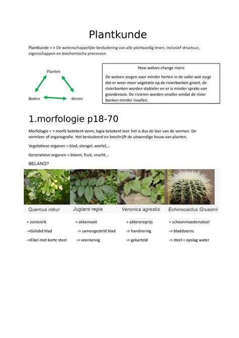 Plantkunde