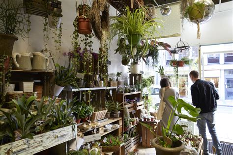 Plantology. Plants Make People Happy. Signed in as: filler@godaddy.com. Home; Shop 