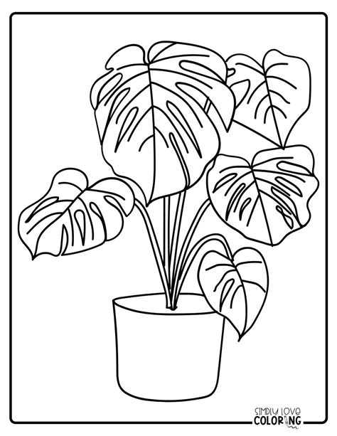 Plants Coloring