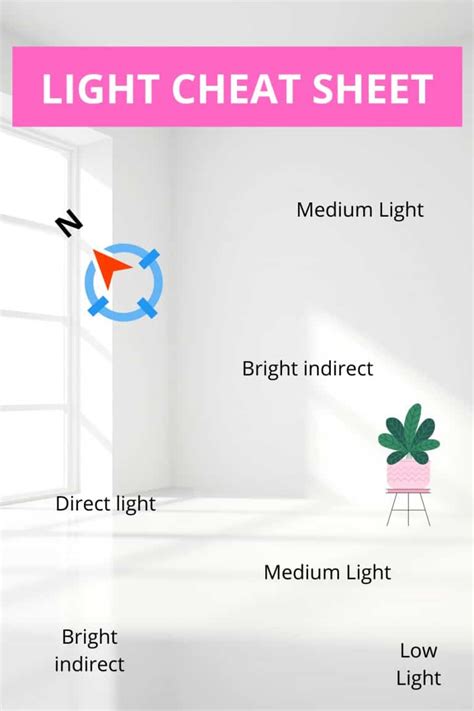 Plants Light Cheat Sheet