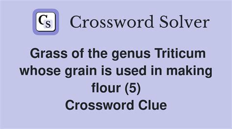 Plants Sometimes Used To Make Flour Crossword Clue