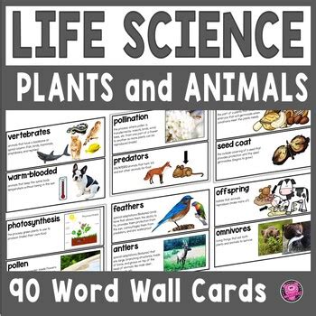 Plants and Animals Vocabulary Word Wall Cards with Definitions