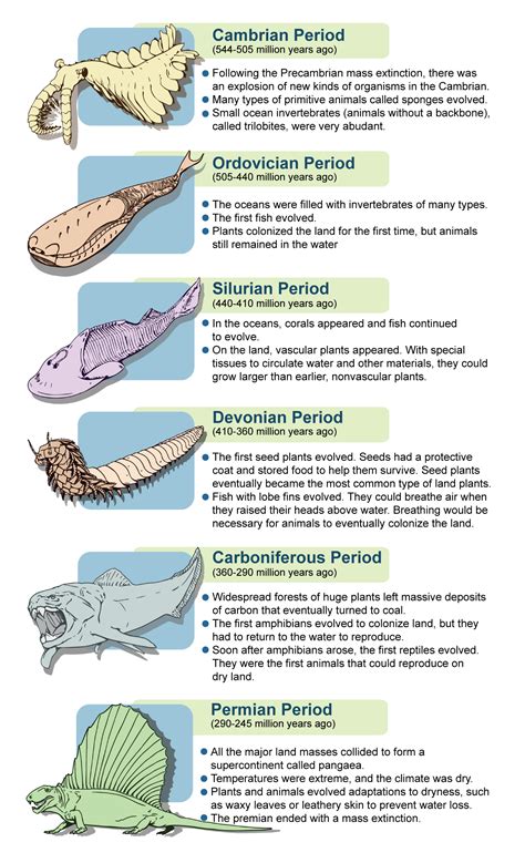 Plants from the paleozoic era. Things To Know About Plants from the paleozoic era. 