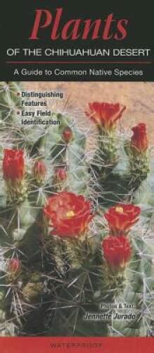 Plants of the chihuahuan desert a guide to common native species. - Die augen meiner augen sind geo ffnet.