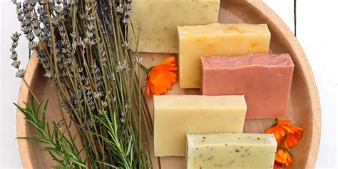 Plants used for soap making. .  <a href=https://crm.mega-hockey.ru/bupvsya/roseberry-funeral-ho...