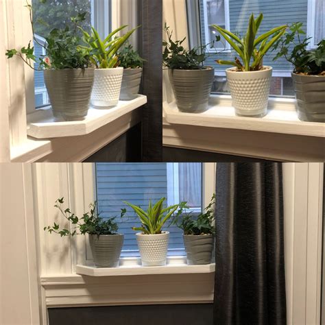 Plants windowsill. Mar 10, 2021 · The most common mistakes you're making with your indoor windowsill planter. 1. Placing the planter on the wrong windowsill. Let your compass be your guide here! And note that a north-facing window ... 