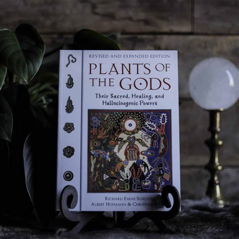 Download Plants Of The Gods Their Sacred Healing And Hallucinogenic Powers By Richard Evans Schultes