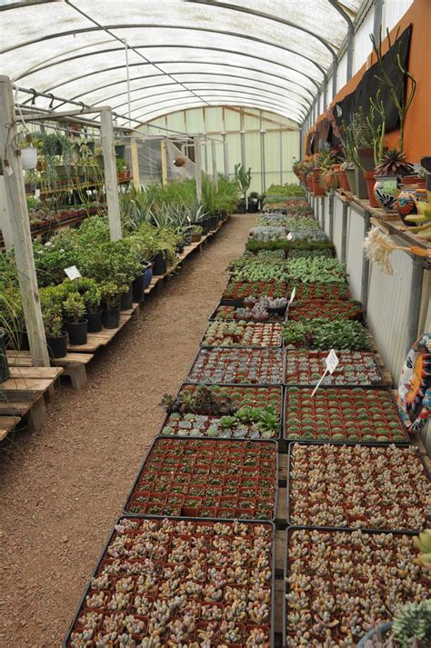 Plantstore. Plant Store is #1 in Ireland for indoor office plant installation, leasing & maintenance, plant & garden team building workshops, plant sales & plant hire for personal, business & … 