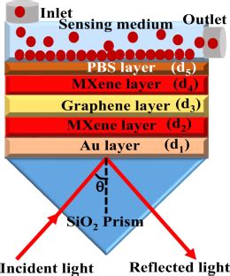 Plasmonic Sensor Based on Molybdenum Trioxide-MXene