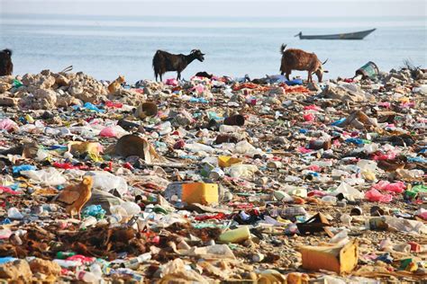 Plastic Pollution & Waste Infographics (PPT Template)