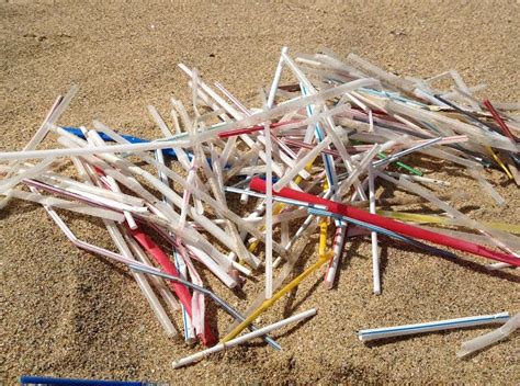 Yes, if only a tiny share. Straws make up just 0.025 percent of the plastic that finds its way into the ocean each year; the United States, the biggest per capita producer of garbage on Earth, is .... 