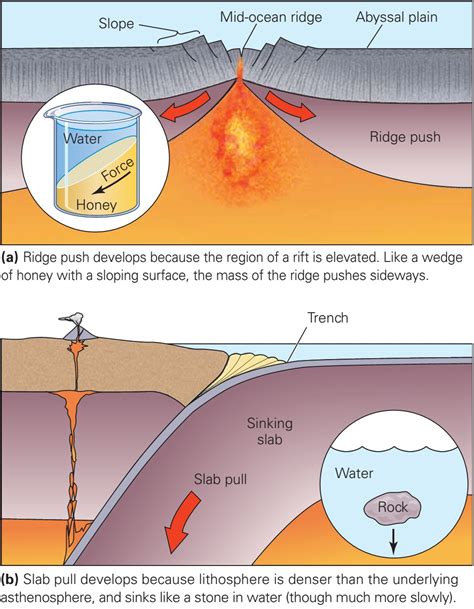 Plate Tectonics: Influence of Gravity on Plate Movement