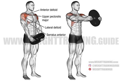 Plate front raise exercise instructions and video Weight Training Guide
