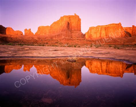 Read Online Plateau Light By David Muench