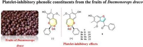 Platelet-inhibitory phenolic constituents from the fruits of