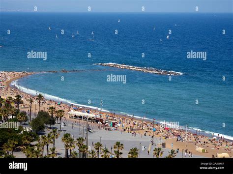 Platja de Sant Miquel en Barcelona