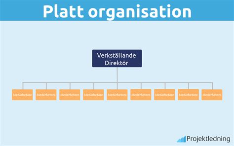 Platt organisation
