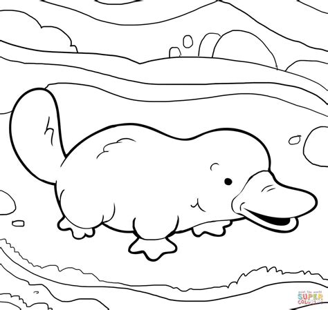 Platypus Coloring Shee