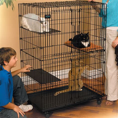  The best dog pens can help keep your furry friend secure and provide them with a spacious place to play. Dog houses give your canine companion shelter from the elements and a place to retreat after a long day of playing fetch. With convenient options like expandable dog pens and portable dog houses, you can’t go wrong at PetSmart. . 
