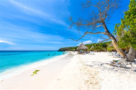 Playa cas abao beach curacao. January 10, 2024. Playa Cas Abao – or Cas Abao Beach – is one of the most beautiful beaches in Curacao. It has previously even been voted as one of the most beautiful … 