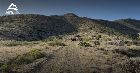 Playas, New Mexico