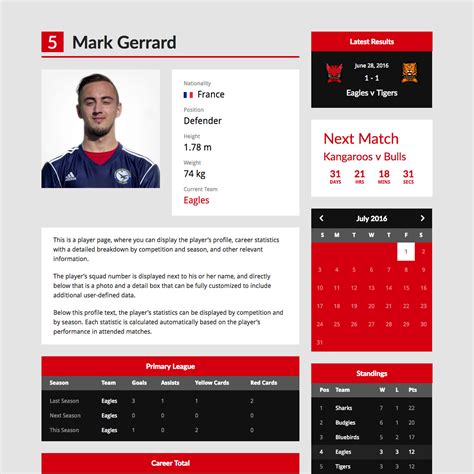 Player Profile Sheet Template