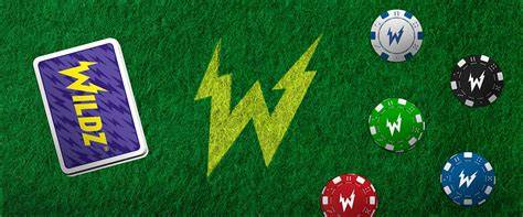 Wildz casino desktop version