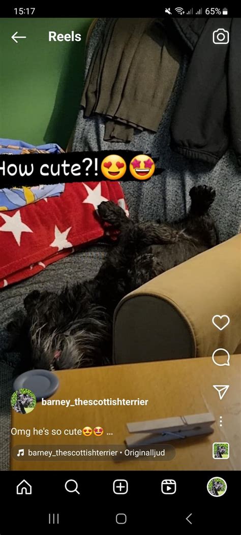 🍆 Playmatedawn Onlyfans Leak PORN 117 Vids