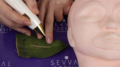 codini.rgarabwor.edu.pl. 