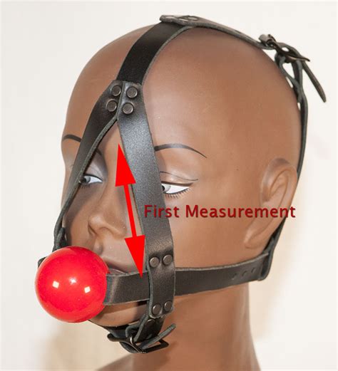 Pleasure Paradox Ball Gags