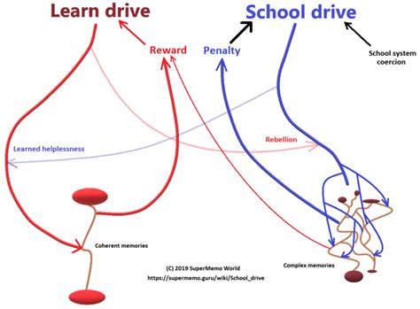 Pleasure of learning - supermemo.guru