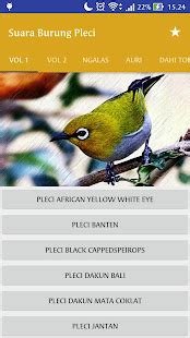 Pleci Gacor Offline APK Download for Android 