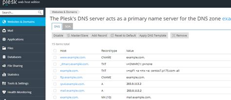 Plesk domain not working.  I'm pretty new to Plesk platform.  After checking basic issues (DNS, ...