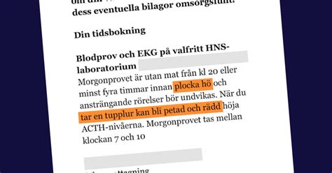 Plocka h&aring;r i &ouml;ronen p&aring; hund - Tips & r&aring;d - Lassie