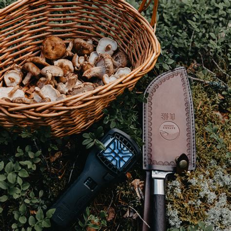 Plocka svamp i plastpåse