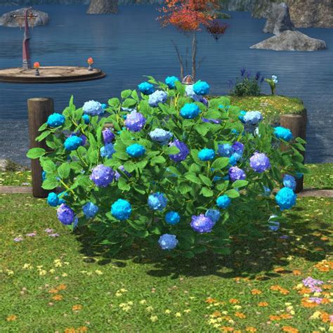 Plot of Hydrangeas - FFXIVMB