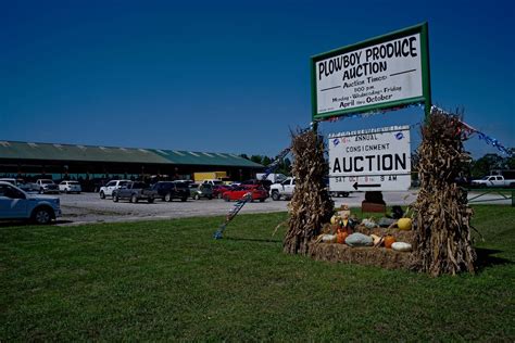 More delicious produce here at the auction today! Bidding starts at 1pm! ... Plowboy Produce Auction .... 