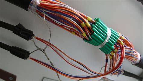 Pltc Halı ve Koltuk Yıkama