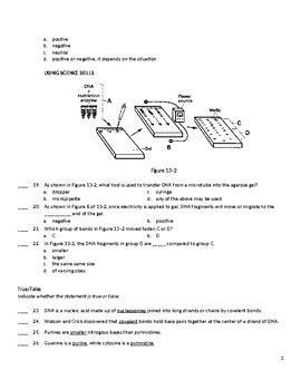 Pltw activity sheet answers biomedical science. - Chrysler town country 2008 2010 service repair manual.