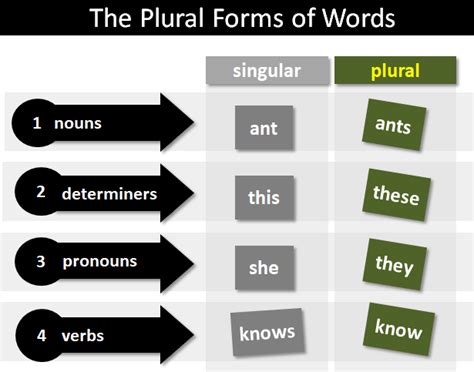 Plural Form Of The Word Turkey Kalimat Blog