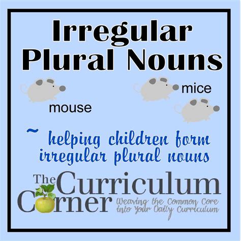 Plural Of Curriculum amulette